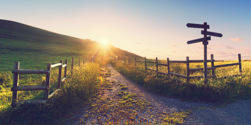 Signs Show the Way on a Rural Country Path the Way SEM ads on Google Help Guide Users to the Information They Need