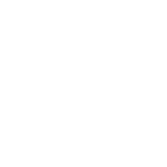 icon of www with globe