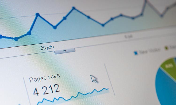 Screen shot of website traffic statistics