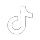 TikTok Logo